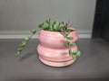 Pink Ceramic Planter