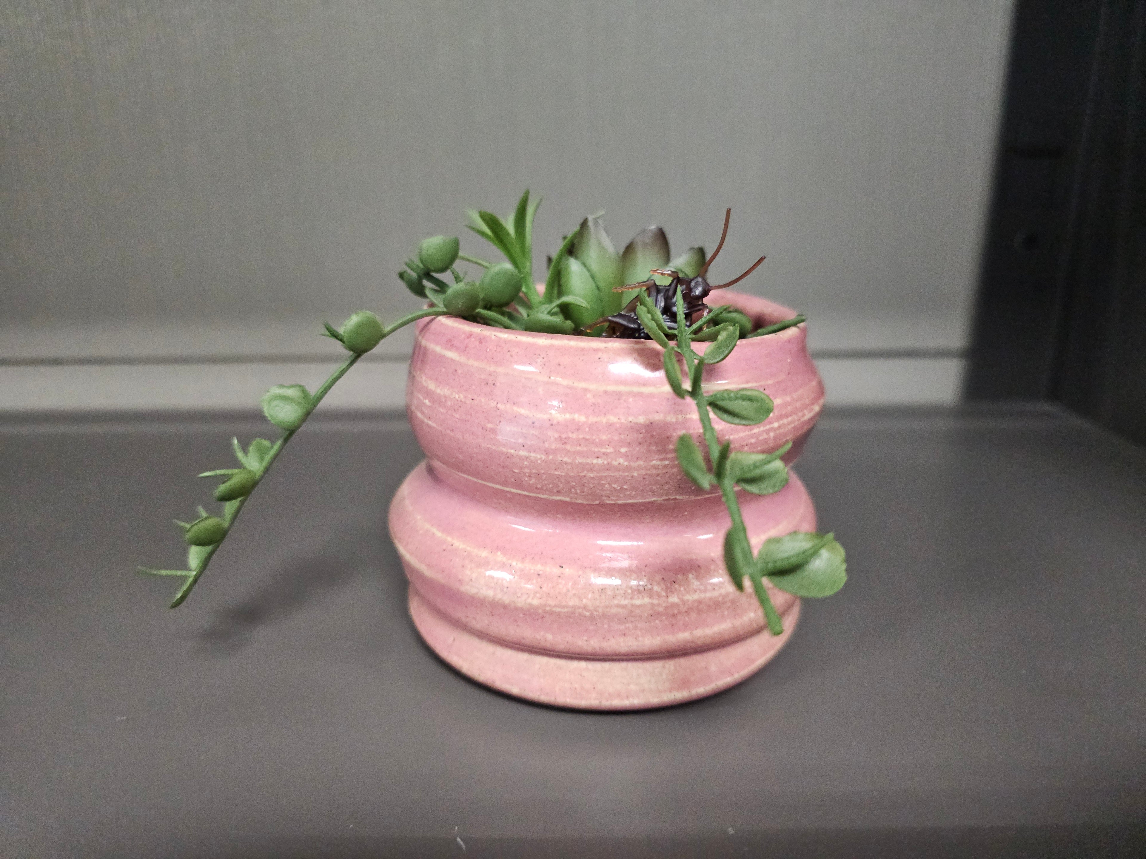 Pink Ceramic Planter